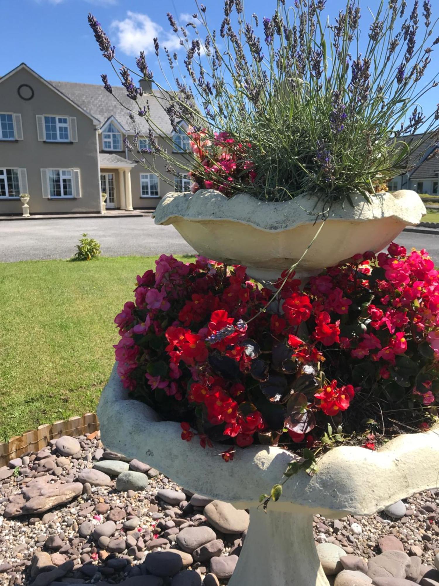 Kielty'S Of Kerry Bed And Breakfast An Coireán Exterior foto